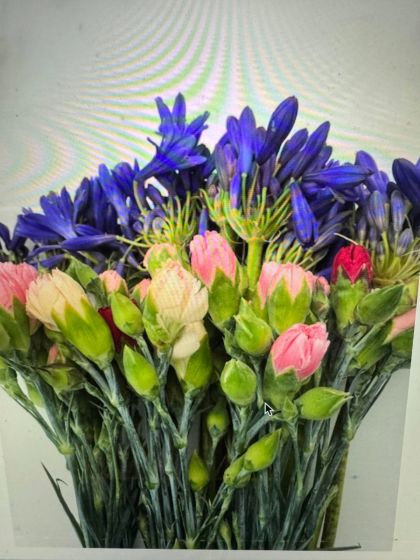 Mixed Flowers 