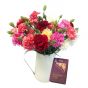 60 Show Pinks Flowers