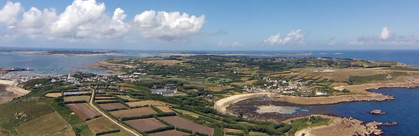 Isles of Scilly Flowers