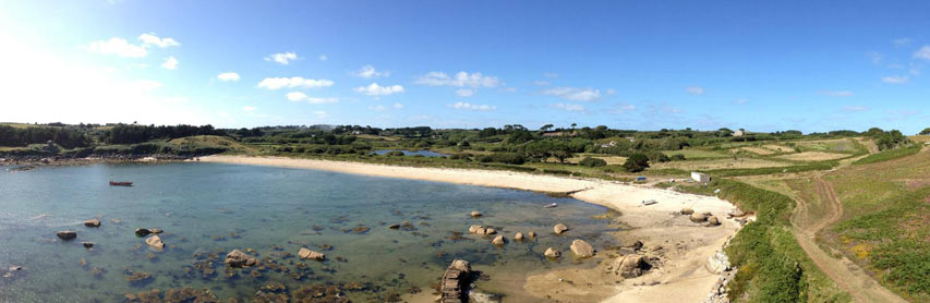 Isles of Scilly Flowers